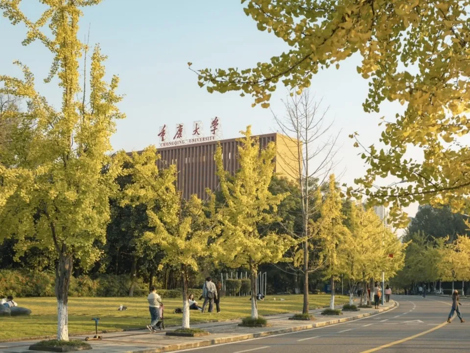 重庆大学校园与树木